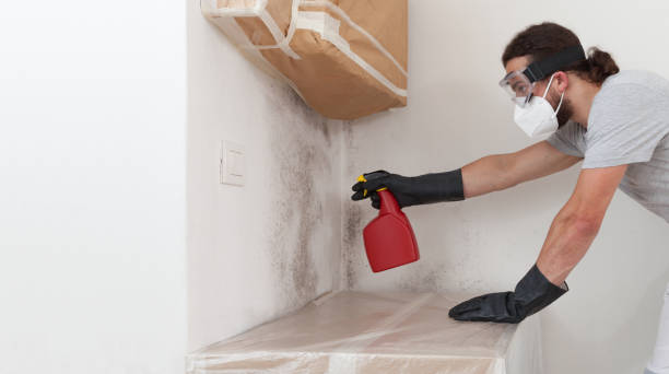 Professional Black Mold Removal technician working in Marietta, GA