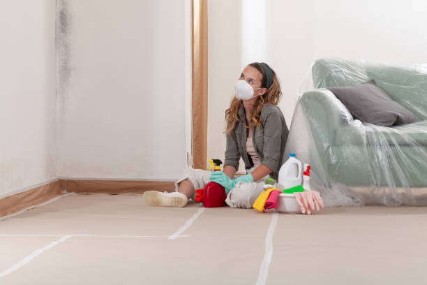 Reliable Black Mold Removal contractor in Marietta, GA by WQB Mold Removal